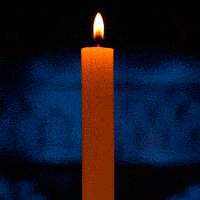Vela
